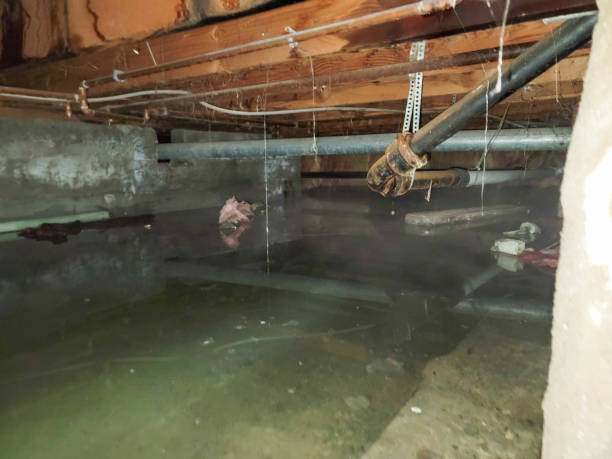 Best 24-hour water damage restoration  in Chama, NM
