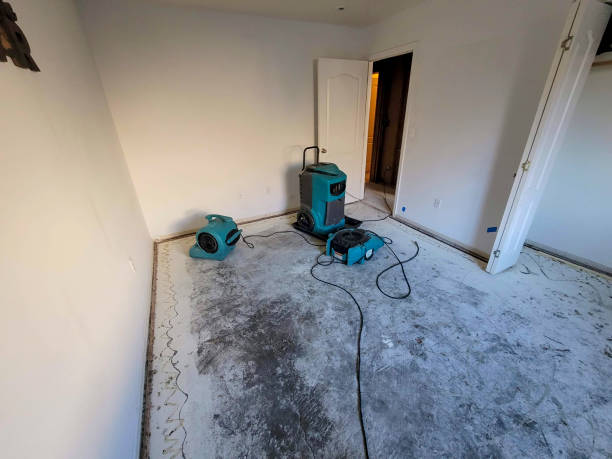 Chama, NM Water damage restoration Company