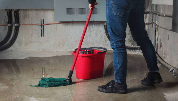 Best Sewage cleanup and water damage restoration  in Chama, NM