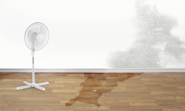 Best Water damage restoration specialists  in Chama, NM