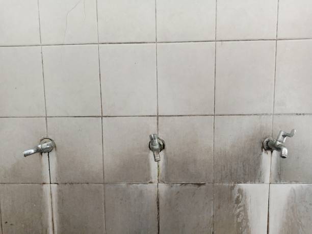 Best Water damage restoration near me  in Chama, NM