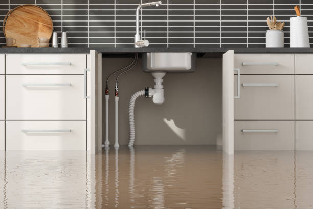 Best 24/7 water damage repair  in Chama, NM