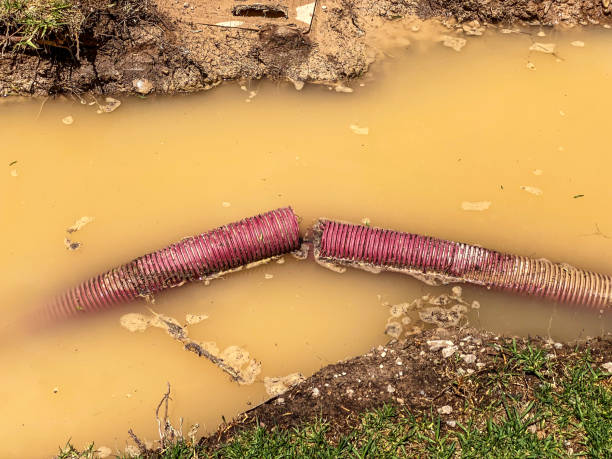 Best Water damage contractors near me  in Chama, NM