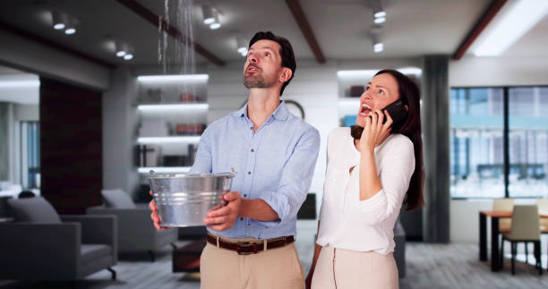 Best Water damage contractors near me  in Chama, NM